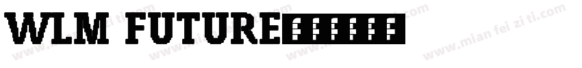 WLM Future字体转换